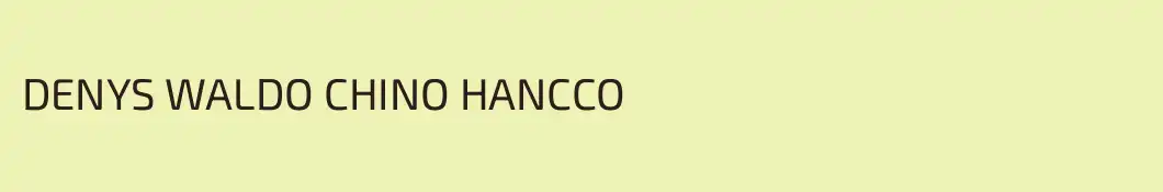 DENYS WALDO CHINO HANCCO